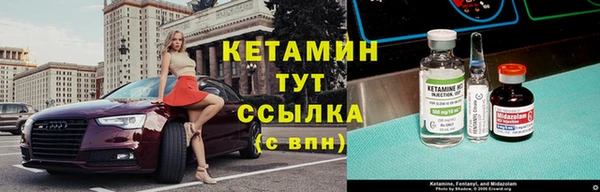 сатива Баксан