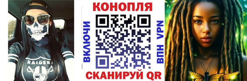 Канабис план  закладки  Шадринск 